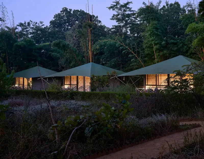 jungle lodge in bandhavgarh