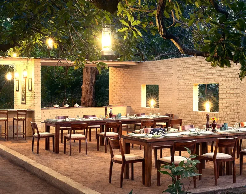 great dining experience with exceptional food